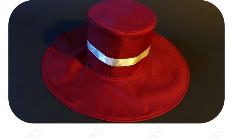 帽子の装飾詳細。アーカードのつば広帽子の形状と縁のラインを示す近接画像。