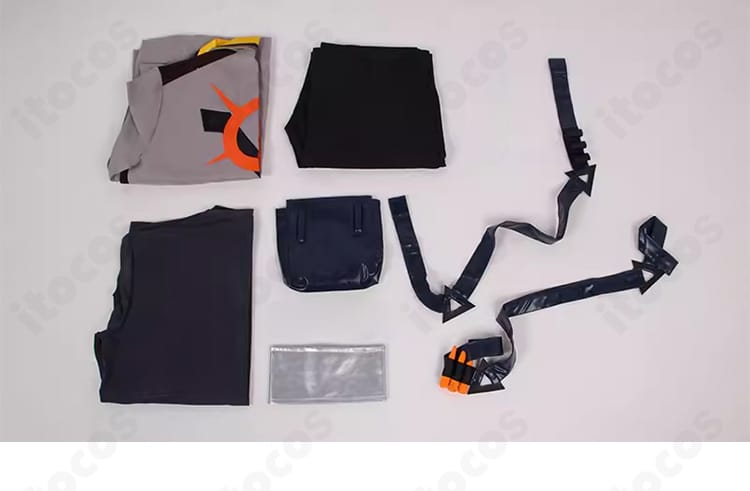 フェニックス衣装のセット内容一式。コート、トップス、ズボン、ベルト、各種飾りとポーチを並べた画像