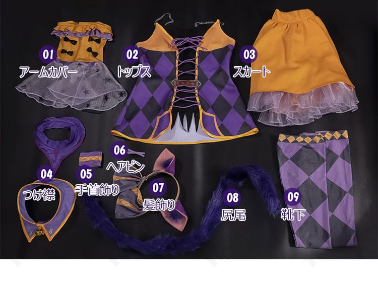 同梱アイテム一覧。トップス、スカート、つけ襟、アームカバー、手首飾り、ヘアピン、髪飾り、尻尾、靴下を並べた画像。