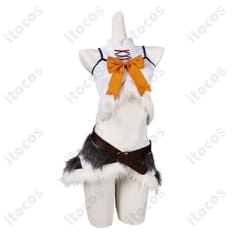 回復術士のやり直し セツナ 氷狼族コスプレ衣装 高再現度でイベント・撮影に最適 - 1枚目の画像（サムネイル）