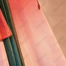 ラブライブ！スーパースター!! 唐 可可 上海ver コスプレ 高再現で撮影映え、XS～XLのフルセット - 5枚目の画像（サムネイル）