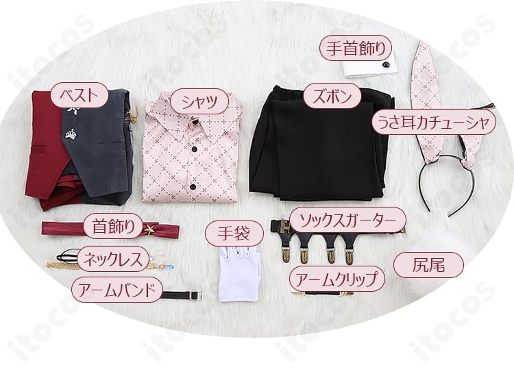 セット内容一覧。シャツ、ベスト、ズボン、うさ耳、尻尾、アクセサリー類が揃った同梱物