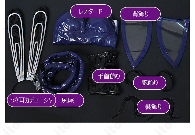 セット内容のレイアウト。レオタード、背飾り、尻尾、腕飾り、髪飾り、うさ耳、手首飾りを一式表示。