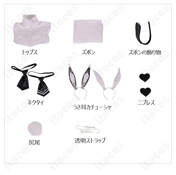 セット内容一式（トップス・ズボン・うさ耳・ニプレス・ネクタイ・尾飾り・透明ストラップ・ズボン飾り）の内容確認画像