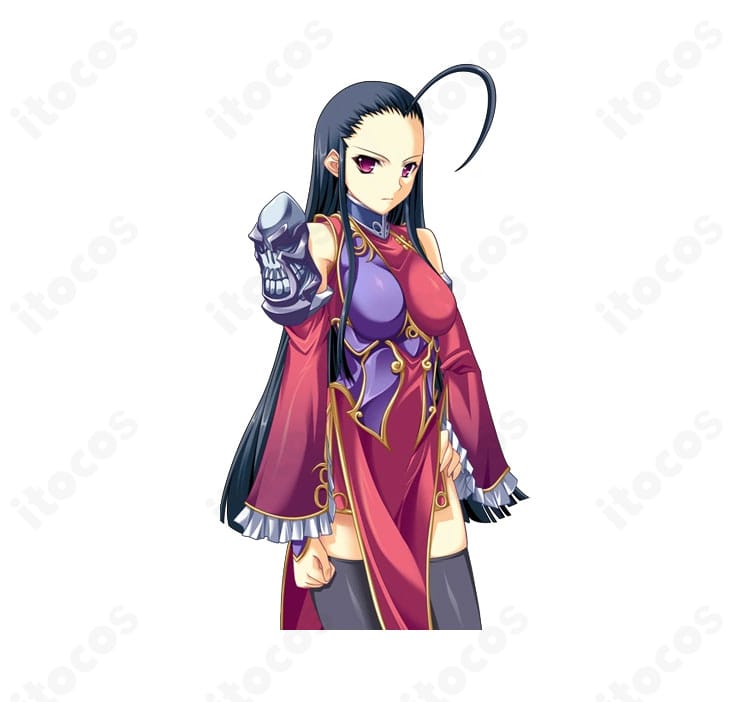 夏侯惇(春蘭)衣装の側面全体と意匠配置が分かる写真