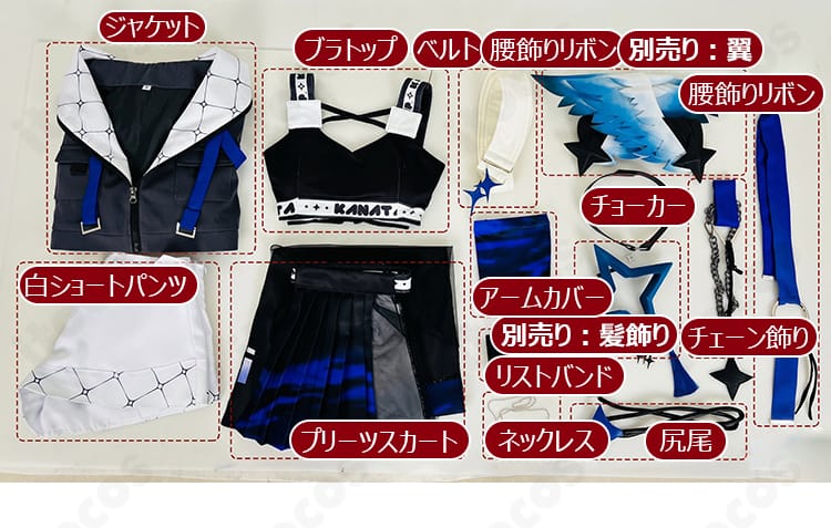 セット内容のフラットレイ全体(ジャケット、ブラトップ、腰リボン、パンツ、スカート、尻尾ほか)