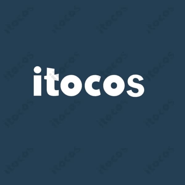 itocos オーダーメイド対応 コスプレ衣装・ウィッグ・小道具制作サービス 参考画像から相談可能 4019