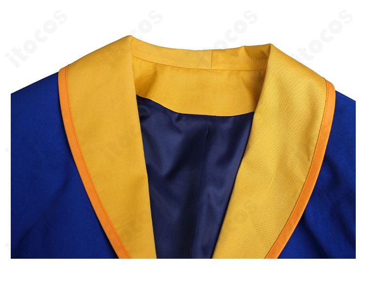 コートの襟飾りディテール。王子風の装飾パーツと縁取りが分かるアップ画像