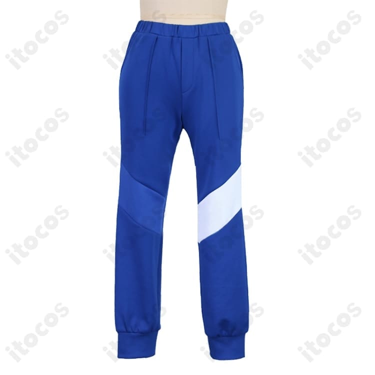 カキツバタ コスプレ衣装 ゼロの秘宝仕様｜精密再現のコート＋Tシャツ＋ズボン＋腰巻 - 5枚目の画像