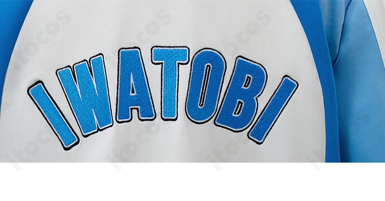 Free! 岩鳶高校水泳部ジャージ コスプレ衣装の背面装飾ディテール。ロゴ表現と背面ラインの縫製精度をクローズアップ。