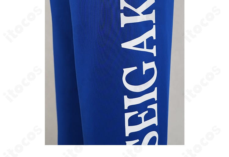 テニスの王子様 越前リョーマ 青春学園ジャージ パンツ脚部のレタリング装飾ディテール