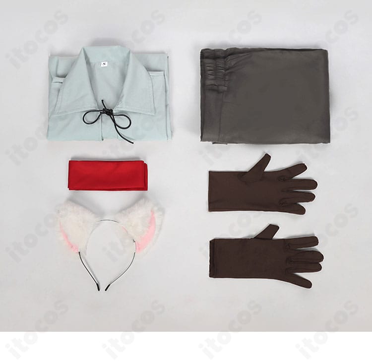 セット内容一覧。トップス・ズボン・手袋・カチューシャ・目隠しの5点を表示