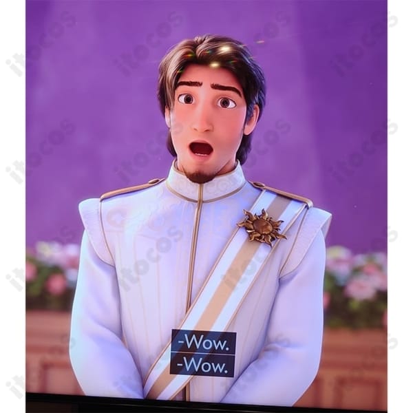 フリン・ライダー（塔の上のラプンツェル）コスプレ衣装｜高再現で動きやすく、撮影・イベントに最適