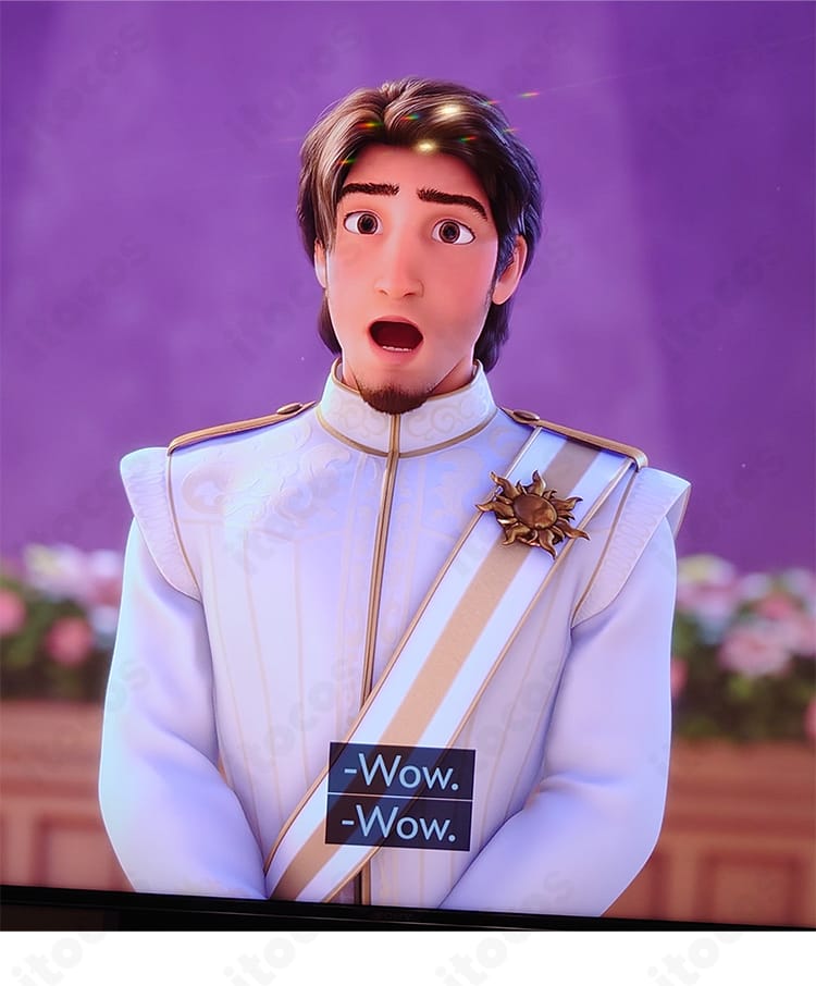 塔の上のラプンツェルのフリン・ライダーのコスプレ衣装一式。ジャケット・シャツ・綬・胸元パーツ・パンツが揃い、全身コーディネートのディテールが分かる画像。