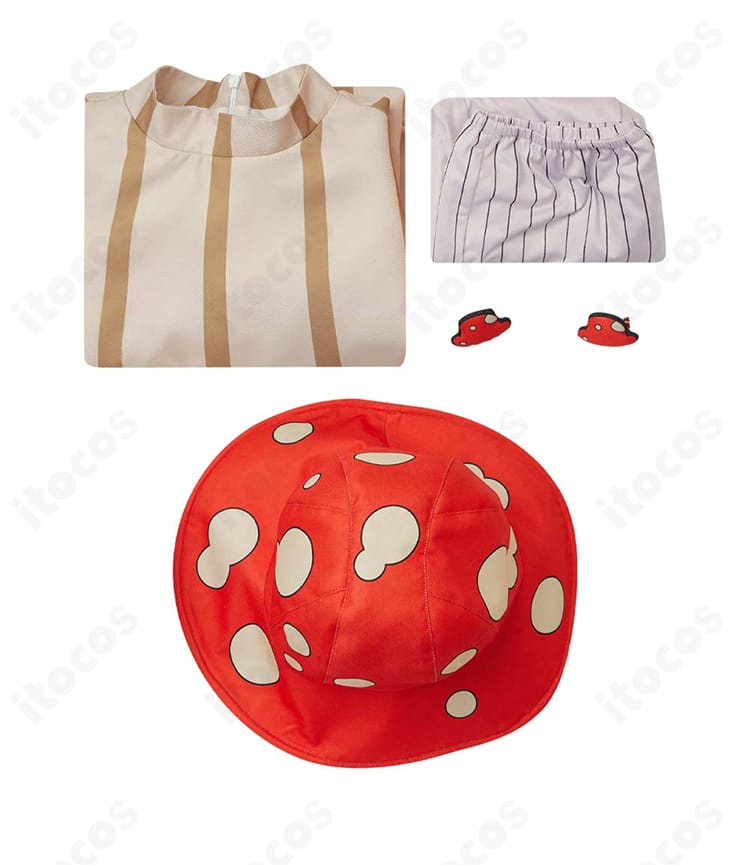 マルシル・ドナトー コスプレ衣装のセット内容一式（帽子・ワンピース・髪飾り・靴下）配置画像